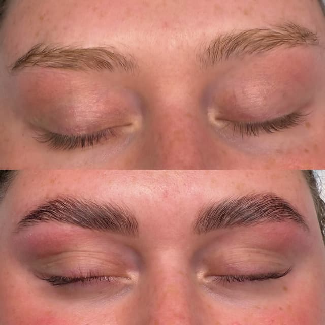 Half a Year of Brow Laminations